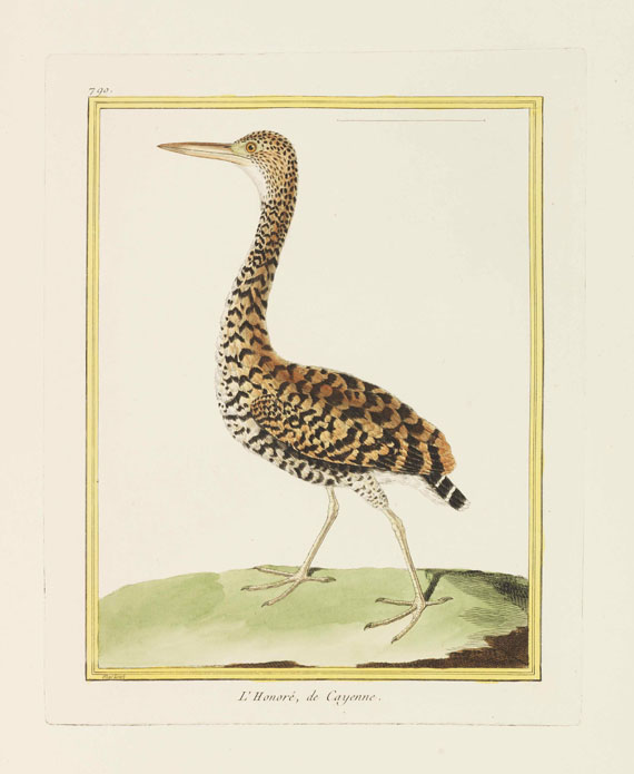 Georges Louis Leclerc Buffon - Histoire naturelle des oiseaux - Altre immagini