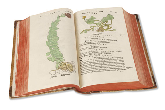 Otto Brunfels - Herbarum vivae eicones - Altre immagini