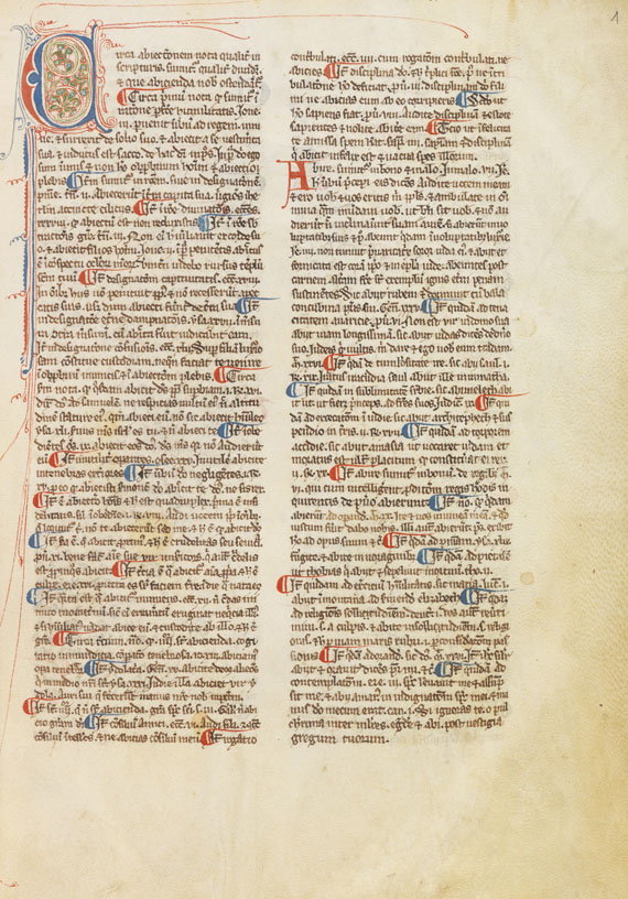 Mauritius Hibernicus - Distinctiones. Manuskript auf Pergament - Altre immagini