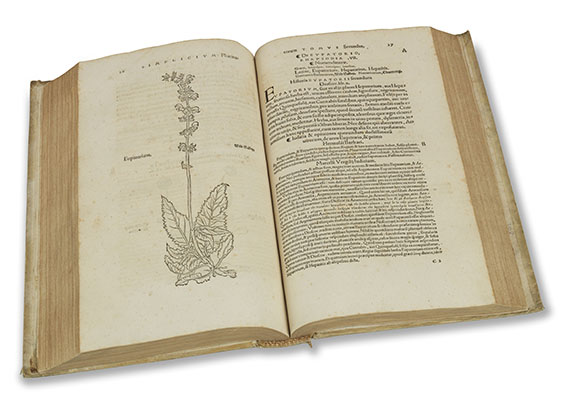 Otto Brunfels - Herbarum vivae eicones, 2 in 1 Band - Altre immagini
