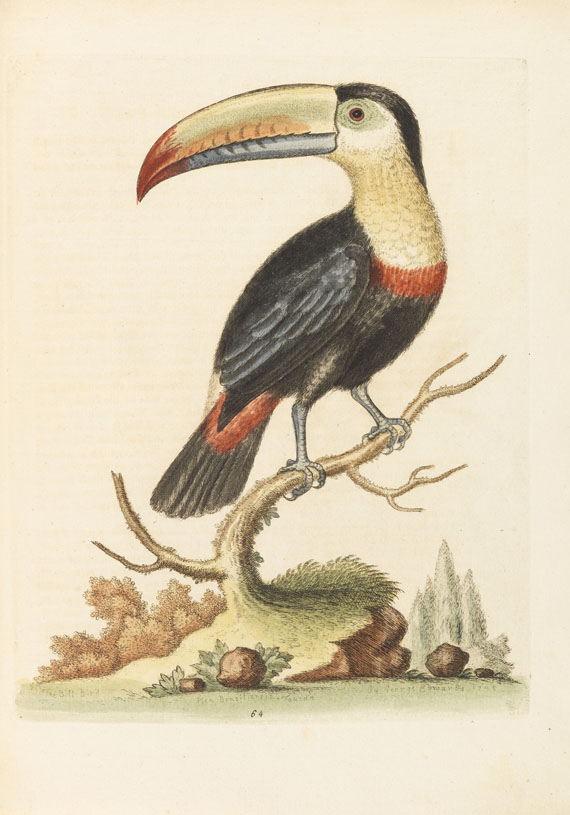 George Edwards - Natural history of birds, 4 Bde. + Gleanings of natural history, 3 Bände - Altre immagini