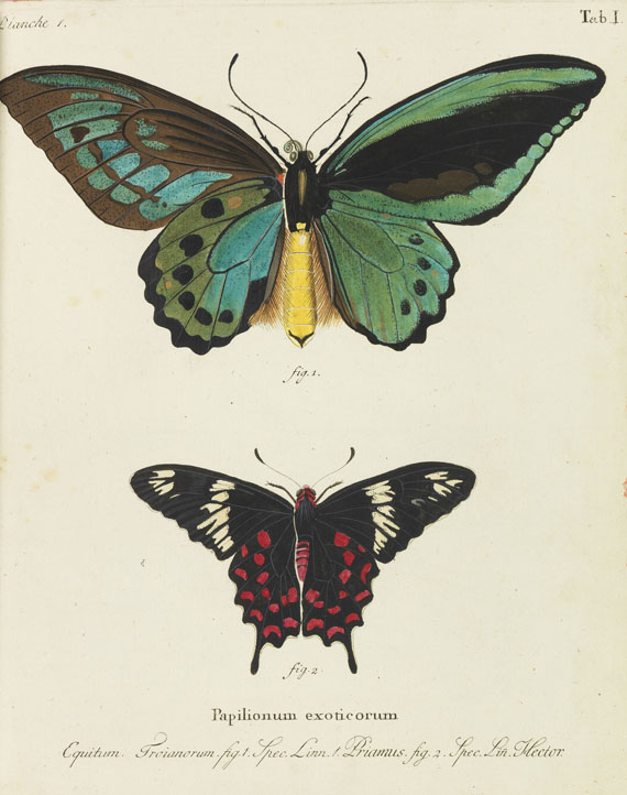 Johann Christoph Esper - Schmetterlinge + Ausländische Schmetterlinge, zus. 20 Bände - Altre immagini