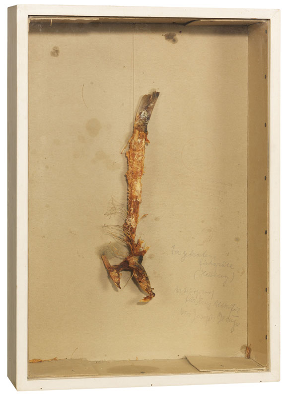 Joseph Beuys - 1a gebratene Fischgräte (Hering) - Altre immagini