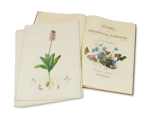 Georg Friedrich Wilhelm Meyer - Flora des Flora des Königreichs Hannover - Altre immagini
