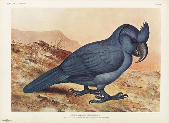 Lionel Walter Rothschild - Extinct birds - Altre immagini