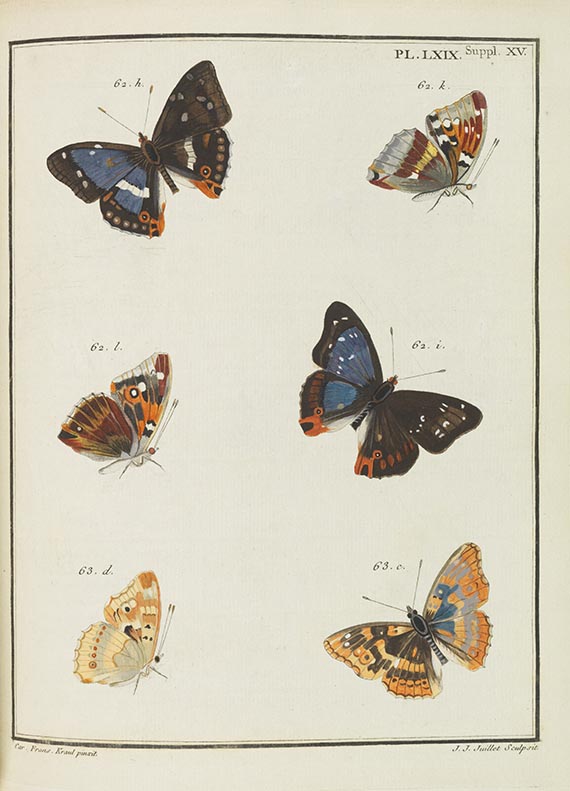 Jacques Louis Florentin Engramelle - Papillons d'Europe - Altre immagini