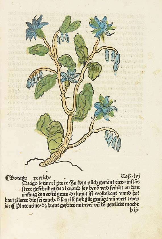Gart der Gesundheit - Gart der Gesundheit, Augsburg 1485