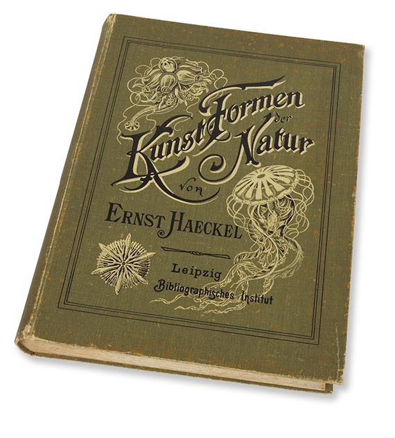 Ernst Haeckel - Kunstformen der Natur - Altre immagini