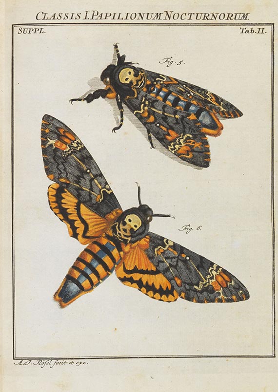 Augustin Johann Rösel von Rosenhof - Der monatlich-herausgegebenen Insecten-Belustigung - Altre immagini