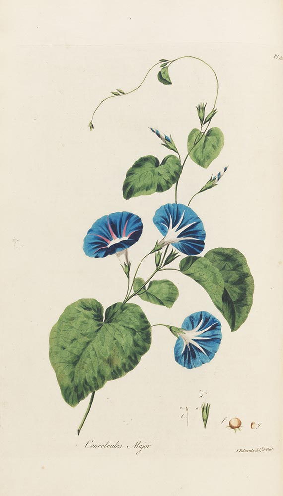 John Edwards - The British herbal - Altre immagini