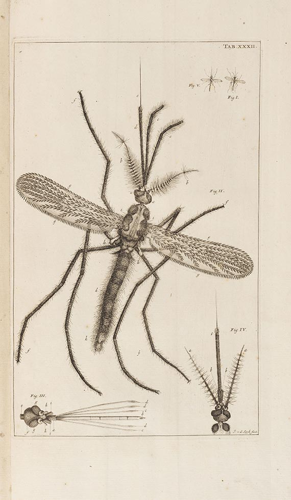 Jan Swammerdam - Biblia Naturae sive Historia insectorum. 2 Bände