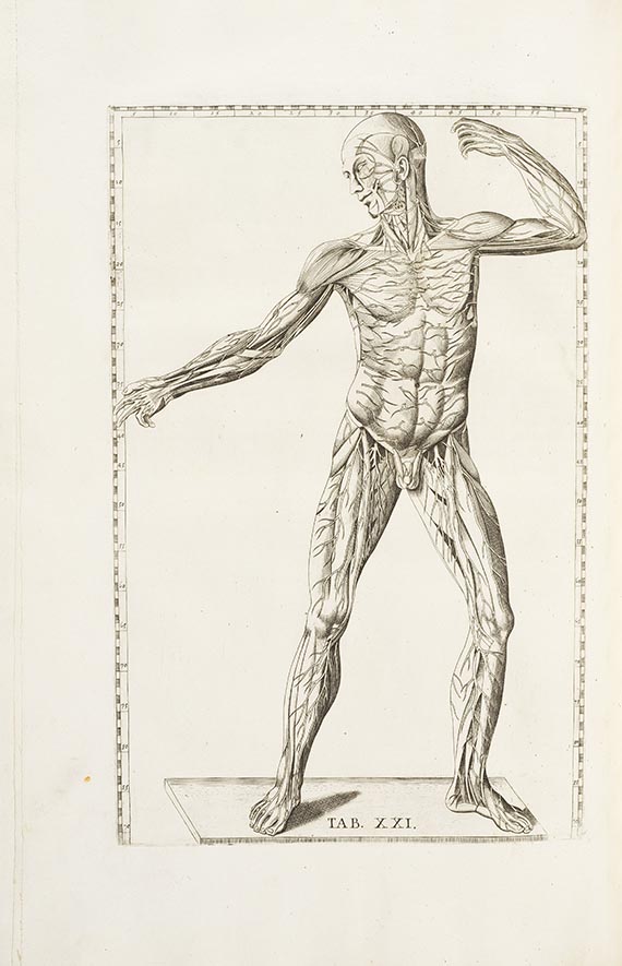 Bartholomeo Eustachi - Tabulae anatomicae