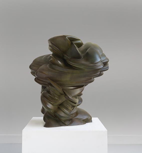 Tony Cragg - Off the Mountain - Altre immagini