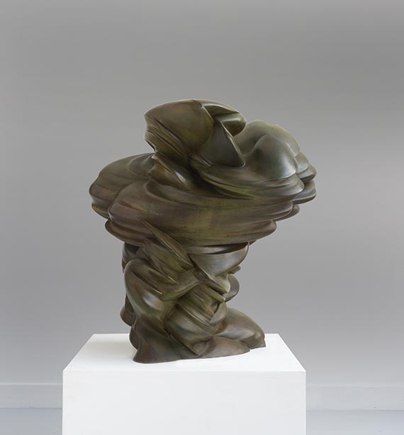 Tony Cragg - Off the Mountain - Altre immagini