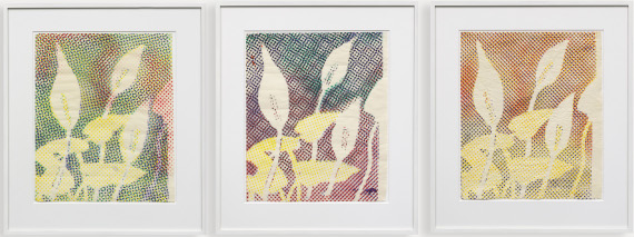 Sigmar Polke - Kallablüten (3-teilig) - Cornice