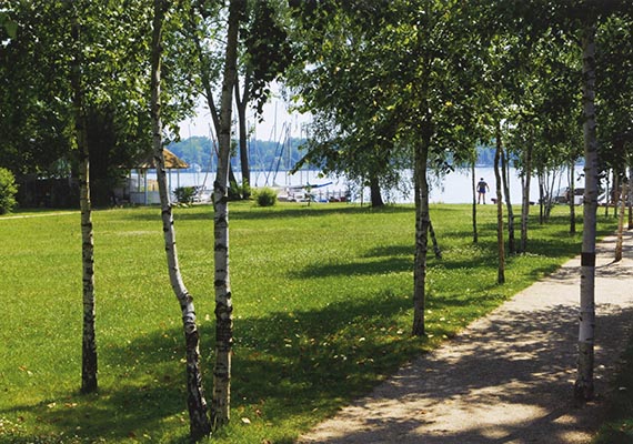 Illustration  for: Today’s view through the birch trees towards the Wannsee. © Erik-Jan Ouwerkerk