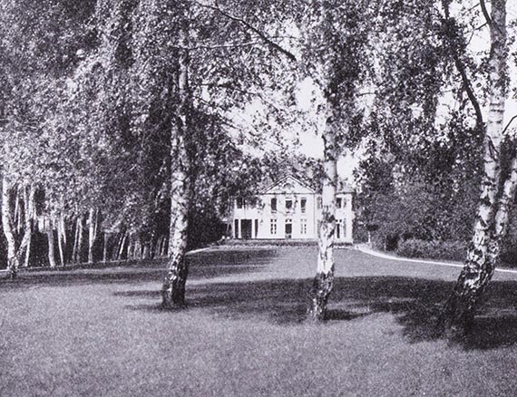 Illustration  for: The great lawn with the path through the birch trees on the left, ca. 1911.