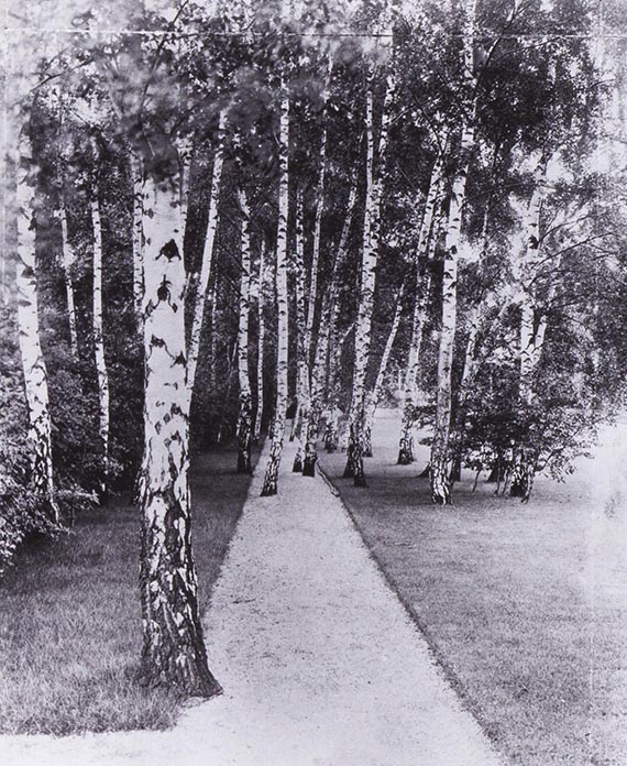 Illustration  for: The path through the birch trees in Liebermann’s garden, 1914, photo: Erik-Jan Ouwerkerk. © Erik-Jan Ouwerkerk