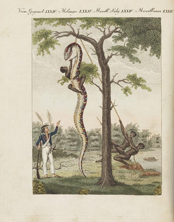 Friedrich Johann Justin Bertuch - Bilderbuch für Kinder. 9 v. 12 Bde.