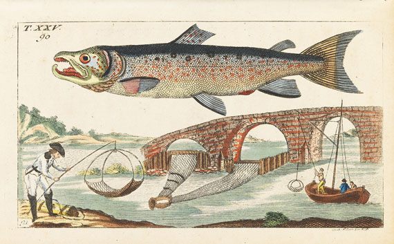 Gottlieb Tobias Wilhelm - Unterhaltungen aus der Naturgeschichte - Altre immagini
