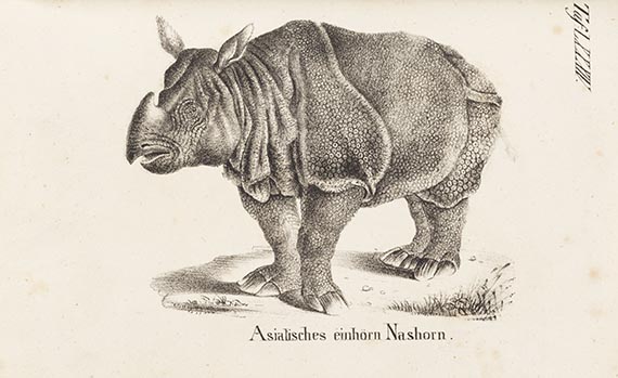 Anton Benedict Reichenbach - Die Naturgeschichte in getreuen Abbildungen. Beigabe M. J. Colerius: Oeconomia oder Haussbuch 5. Bd. 1607