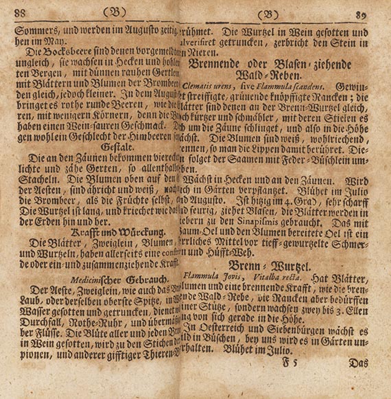   - Konvolut Gärtnerei & Botanik