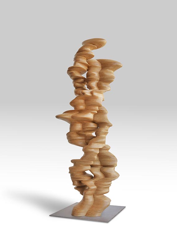 Tony Cragg - Chain of Events - Altre immagini