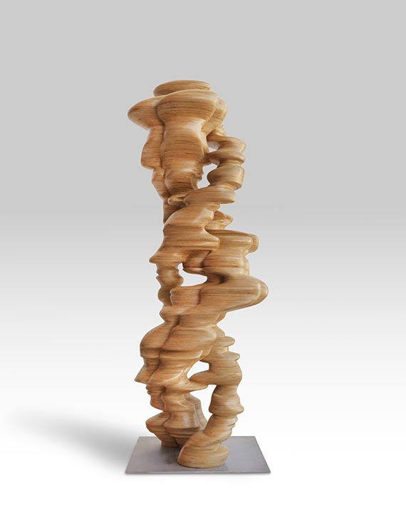 Tony Cragg - Chain of Events - Altre immagini