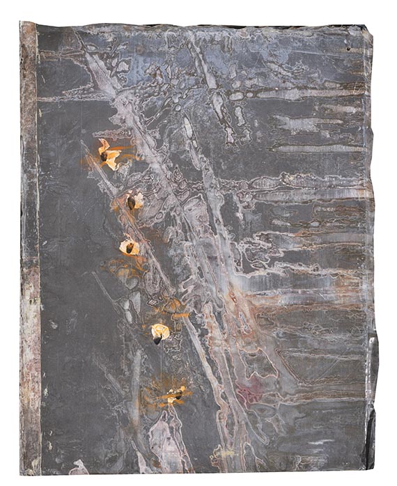 Anselm Kiefer - Blutblume - Altre immagini