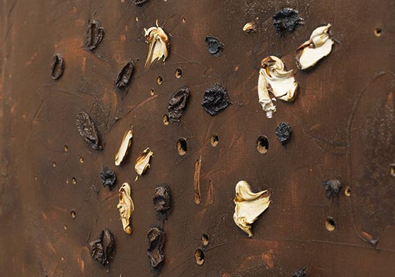 Lucio Fontana - Concetto Spaziale - Altre immagini