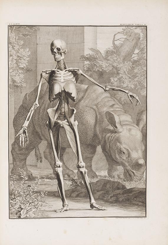 Bernhard Siegfried Albinus - Tabulae sceleti et musculorum corporis humani