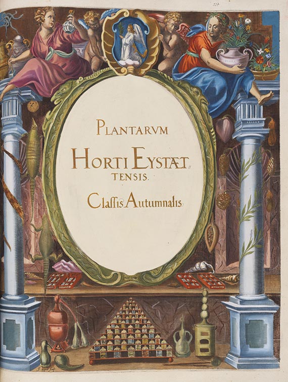Basilius Besler - Hortus Eystettensis. Curis secundis. - Altre immagini